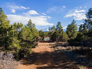 Lot 555 N Badger Trail, Loghill Village, CO 81432