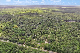 3898 Old Hwy 259 Hwy, Waynesville, GA 31566