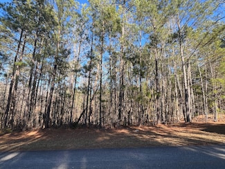 24-17 Madison Dr, McCormick, SC 29835