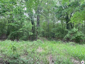 0 County Road 4239, Simms, TX 75574