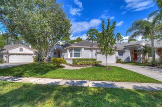 12111 Glencliff Cir, Tampa, FL 33626
