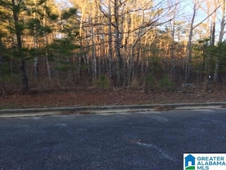 3605 Morgans Run Pkwy Unit Lot 38, Bessemer, AL 35022