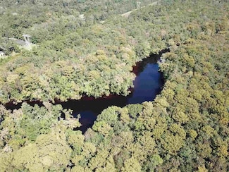 xxx Tiger Hammock Rd, Crawfordville, FL 32327