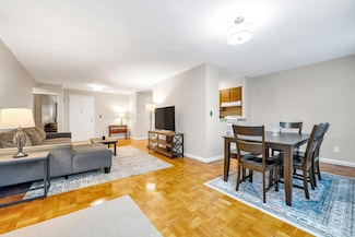 1 Birchwood Ct Unit 1N, Mineola, NY 11501