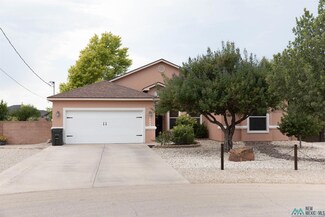 4009 Doc Holliday Ct, Carlsbad, NM 88220