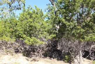 357 Big Bend Dr, Canyon Lake, TX 78133