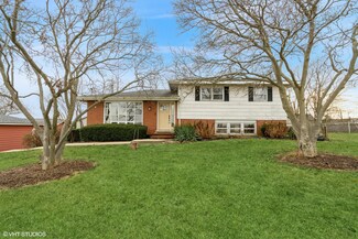 11415 W 167th St, Orland Park, IL 60467