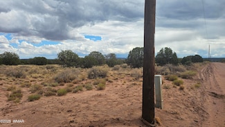 4365 Mountain View Rd, Snowflake, AZ 85937