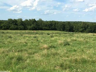 0 Highway 58 Unit 17029367, Cave City, AR 72521