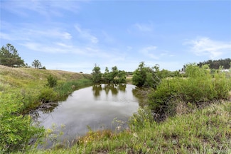 0 E Cherry Creek Rd Unit REC1786246, Larkspur, CO 80118