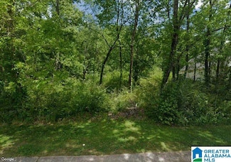 1704 Creely Dr, Birmingham, AL 35235