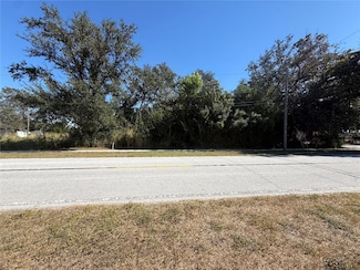 0 119th St Unit MFRTB8448606, Largo, FL 33778