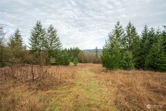 0 Burchett Rd Unit NWM2322360, Onalaska, WA 98570