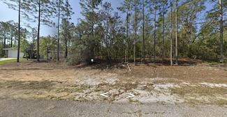 602 E Nemo Dr, Citrus Springs, FL 34434