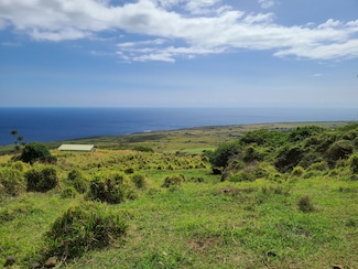 95-1406 Ka'Alaiki Rd, Naalehu, HI 96772