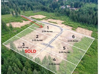 0 NE 43rd Cir Unit Lot 1 23382461, Camas, WA 98607