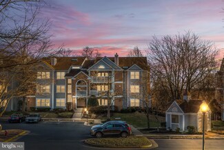 6107 Wigmore Ln, Alexandria, VA 22315