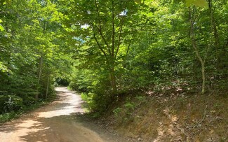 0 Calvender Rd Unit 308354, Turtletown, TN 37391