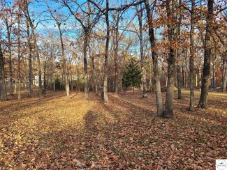 TBD Falling Rock Ave, Tom Township, MO 65355