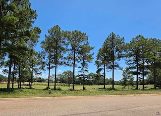 Lot 10, 11 Camden Way, Hawkinsville, GA 31036