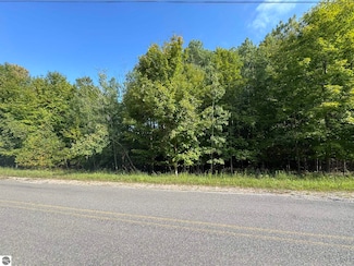 Lot 4 E Old Mountain Rd Unit 4, Cleveland Township, MI 49621