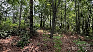 7 Walnut Ridge Dr, Lenoir, NC 28645