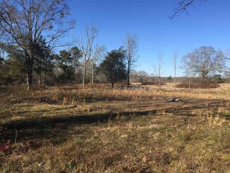 01 Clifton Hillsboro Rd, Forest, MS 39074