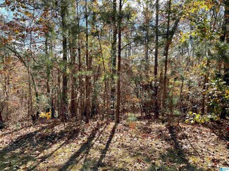 0 Wild Cherry Pkwy Unit 131 1338062, Wedowee, AL 36278
