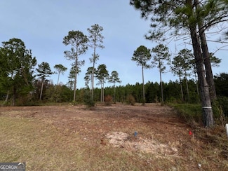 597 Salt Creek Way E, Brunswick, GA 31523