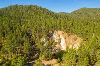 Dan Patch #4 Lafferty Gulch, Keystone, SD 57751