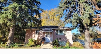 725 Hall Ave, Saint Paul, MN 55107