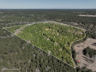 0 Matthew Johnson Rd, Wiggins, MS 39577