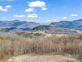1233 Grand Oaks Dr, Hendersonville, NC 28792