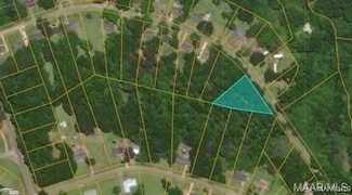 0 County Road 232 Unit 576263, Valley Grande, AL 36701