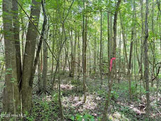 Lot 22 Buckhorn Church, Como, NC 27818