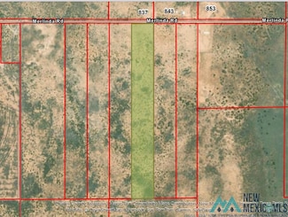 Tract 3B Merlinda Rd, Dexter, NM 88230