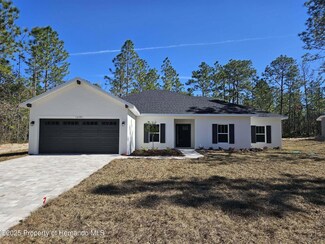 16184 Malden Rd, Weeki Wachee, FL 34614