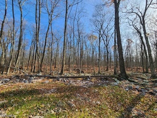 4 High Point Dr, Montague, NJ 07827