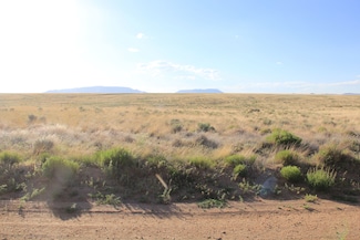 0 Ridgeway Rd Unit San Luis CO 23799644, San Luis, CO 81152
