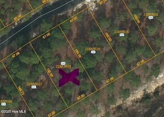 626 Theodora Crossing SE, Bolivia, NC 28422