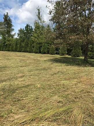 0 Robinson Creek Rd, Bostic, NC 28018
