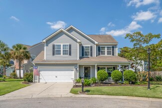 309 Tidal Rice Ct, Charleston, SC 29492