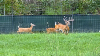 5292 Ivy Creek Rd, Rutledge, AL 36071