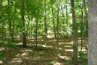 0 Givens Tyler Rd, Salem, VA 24153