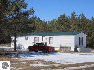 1605 E 16 Rd, Mesick, MI 49668