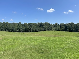 3421 George Olive Rd, Iron City, TN 38463