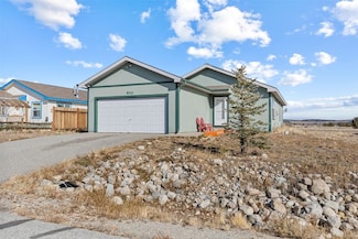 800 Trout Creek Dr, Fairplay, CO 80440