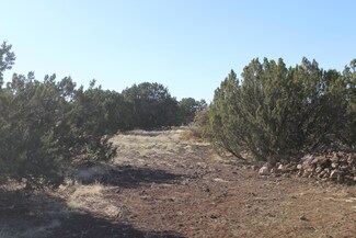 8588 Kaibab Ln, Show Low, AZ 85901