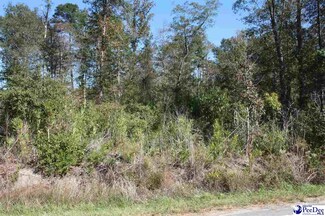 0 County Road S-45-319, Hemingway, SC 29554