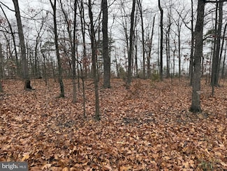 0 White Pine Ln, Back Creek, VA 22602